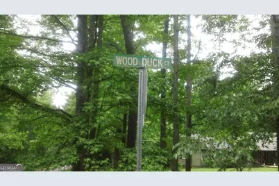 0 Woodduck Court, Monticello, GA 31064 - Photo 10