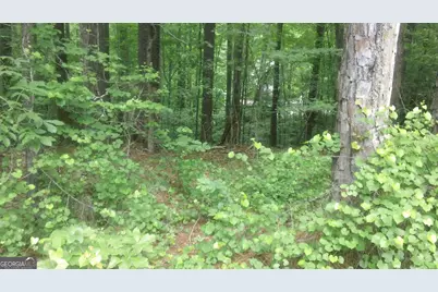 0 Woodduck Court, Monticello, GA 31064 - Photo 8