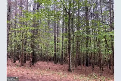0 Mull Drive, Mineral Bluff, GA 30559 - Photo 2