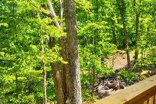 326 Skywood Ln, Cleveland, GA 30528 - Photo 2