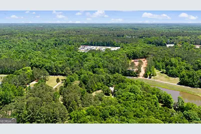 90 Todd Road, Senoia, GA 30276 - Photo 36