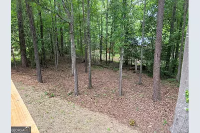 115 Richard Street, Clarkesville, GA 30523 - Photo 14