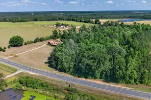 3472 Hwy 46, Soperton, GA 30457 - Photo 10