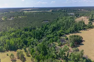 3472 Hwy 46, Soperton, GA 30457 - Photo 6