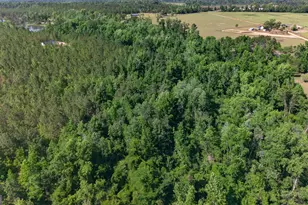 3472 Hwy 46, Soperton, GA 30457 - Photo 6