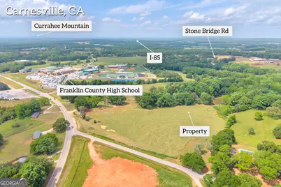 6490 Hwy 145, Carnesville, GA 30521 - Photo 4