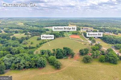 6490 Hwy 145, Carnesville, GA 30521 - Photo 8