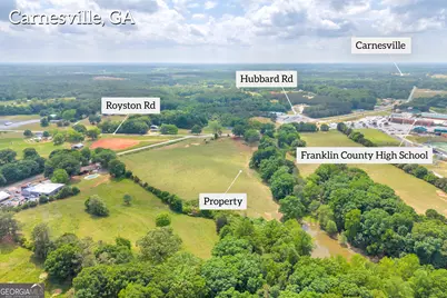 6490 Hwy 145, Carnesville, GA 30521 - Photo 6