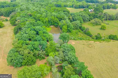 6490 Hwy 145, Carnesville, GA 30521 - Photo 14