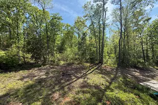 9 Cherokee Resort Rd, Pine Mountain, GA 31822 - Photo 28
