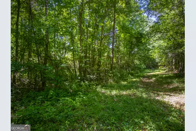 15.74 Acres Wallace Gray Road, Newnan, GA 30263 - Photo 4