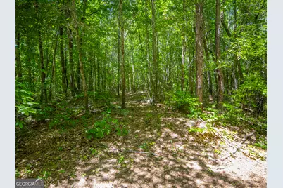 15.74 Acres Wallace Gray Road, Newnan, GA 30263 - Photo 8