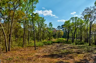 2502 Staley Ave, Savannah, GA 31405 - Photo 1