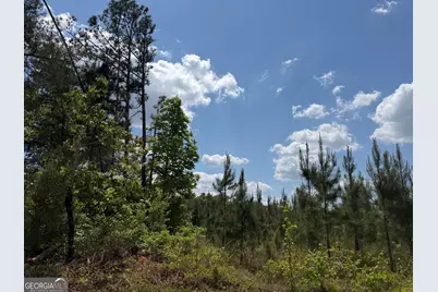 008 George Milling Road, Cuthbert, GA 39840 - Photo 2