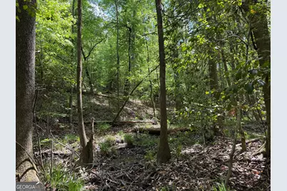 013 George Milling Road, Cuthbert, GA 39840 - Photo 4