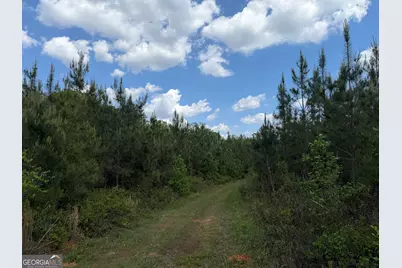 013 George Milling Road, Cuthbert, GA 39840 - Photo 10