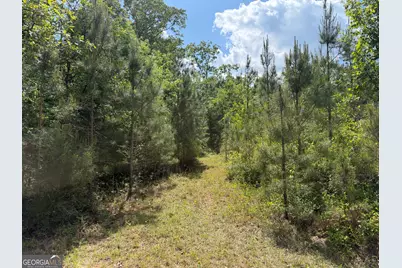 013 George Milling Road, Cuthbert, GA 39840 - Photo 8