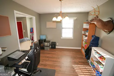 580 Limestone Street, Mount Vernon, GA 30445 - Photo 20