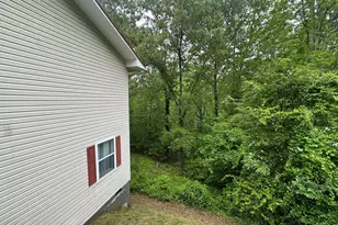 196 White St, Dillard, GA 30537 - Photo 10