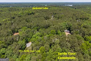 111 Turtle Cove, Monticello, GA 31064 - Photo 4