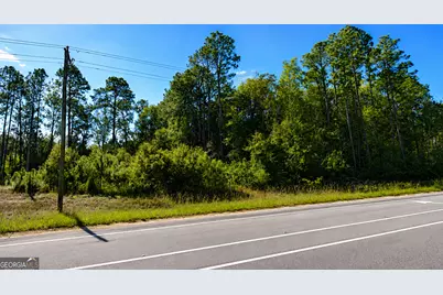 4.62 Acres Valdosta Highway, Manor, GA 31550 - Photo 4