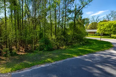 .80 Acre Monnie Street, Ashburn, GA 31714 - Photo 4