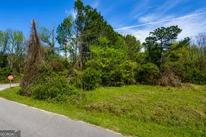 .80 Acre Monnie Street, Ashburn, GA 31714 - Photo 2