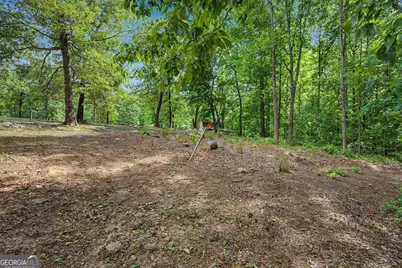 650 N Raburn Road, Bremen, GA 30110 - Photo 40