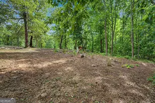 650 N Raburn Rd, Bremen, GA 30110 - Photo 40