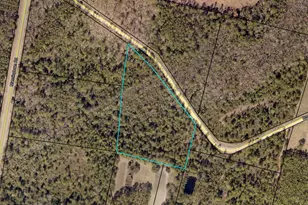 0 Browntown, Jesup, GA 31546 - Photo 1