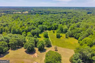 1018 Hardman Morris Rd, Colbert, GA 30628 - Photo 100