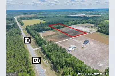 6.6 Acres Bert Rd. Road, Hoboken, GA 31542 - Photo 4