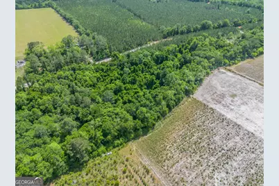 6.6 Acres Bert Rd. Road, Hoboken, GA 31542 - Photo 8