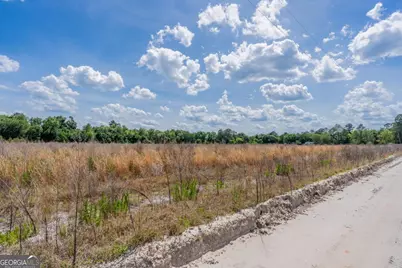 6.6 Acres Bert Rd. Road, Hoboken, GA 31542 - Photo 12