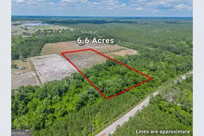 6.6 Acres Bert Rd. Road, Hoboken, GA 31542 - Photo 2