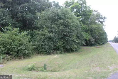 0 S State Route 49 Road, Oglethorpe, GA 31068 - Photo 12