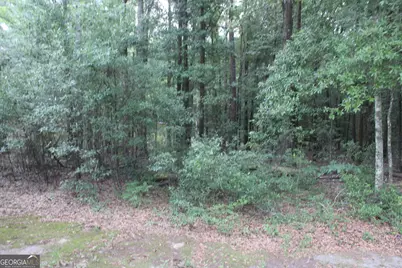 0 S State Route 49 Road, Oglethorpe, GA 31068 - Photo 8