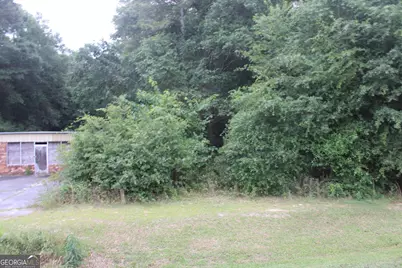 0 S State Route 49 Road, Oglethorpe, GA 31068 - Photo 6
