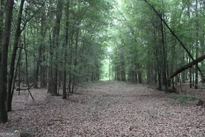0 S State Route 49 Road, Oglethorpe, GA 31068 - Photo 2