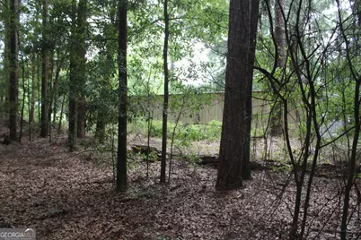0 S State Route 49 Road, Oglethorpe, GA 31068 - Photo 4