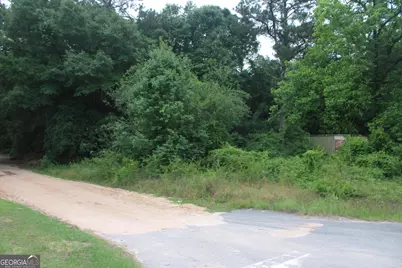 0 S State Route 49 Road, Oglethorpe, GA 31068 - Photo 10