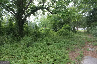 0 S State Route 49 Road, Oglethorpe, GA 31068 - Photo 16