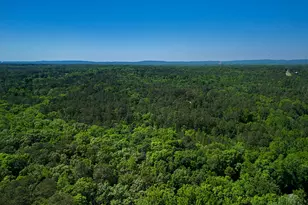 1154 Hunter Rd, Cataula, GA 31804 - Photo 94