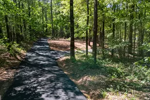1154 Hunter Rd, Cataula, GA 31804 - Photo 86