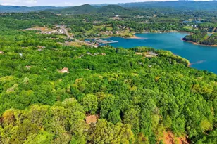 860 Frog Pond Rd, Hiawassee, GA 30546 - Photo 48
