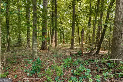 474 Lewis Drive, Lavonia, GA 30553 - Photo 8