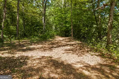 474 Lewis Drive, Lavonia, GA 30553 - Photo 6