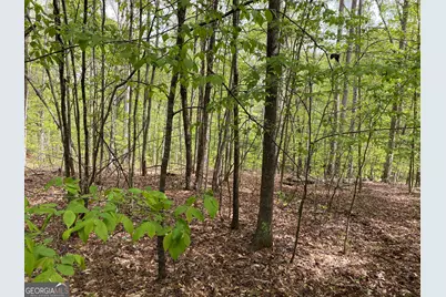 3 Curry Falls Trail, Athens, GA 30607 - Photo 4