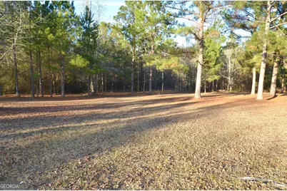 239 Trent Drive, Eastman, GA 31023 - Photo 8