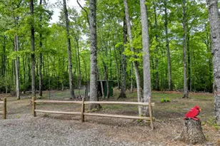 478 Flat Top Rd, Blairsville, GA 30512 - Photo 14